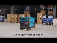 Generatore diesel a 50 Hz AC a tre fasi Generatore diesel a 300 kW Generatore diesel portatile